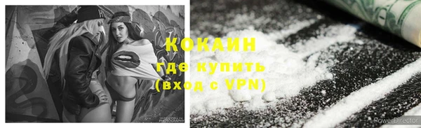 шишки Алексеевка