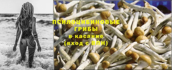 амф Алзамай