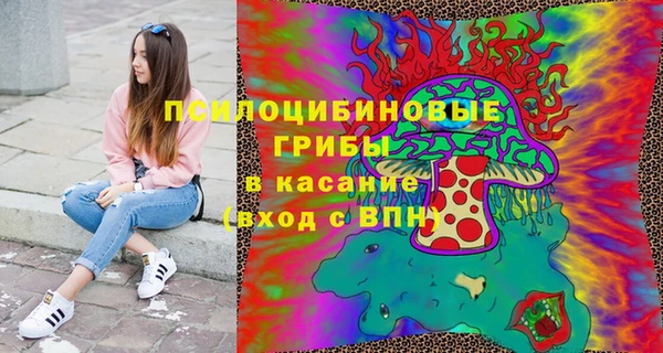 Альфа ПВП Алексин