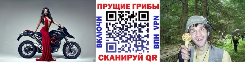 Галлюциногенные грибы мицелий  даркнет сайт  Сочи 