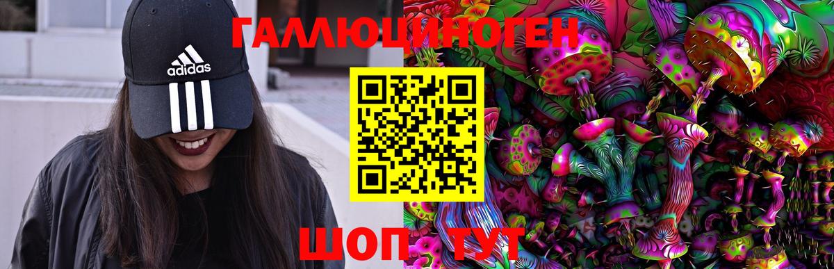 Сочи  Галлюциногенные грибы ЛСД  Вход с VPN  Галлюциногенные грибы ЛСД 